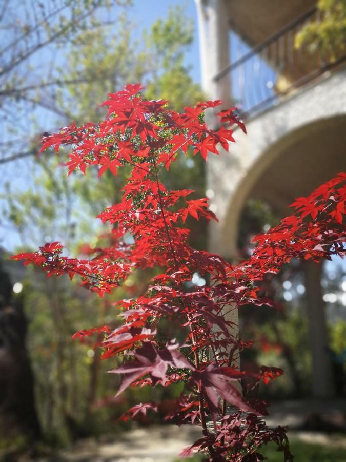 Вилла Il Melograno Дольчеаккуа Экстерьер фото